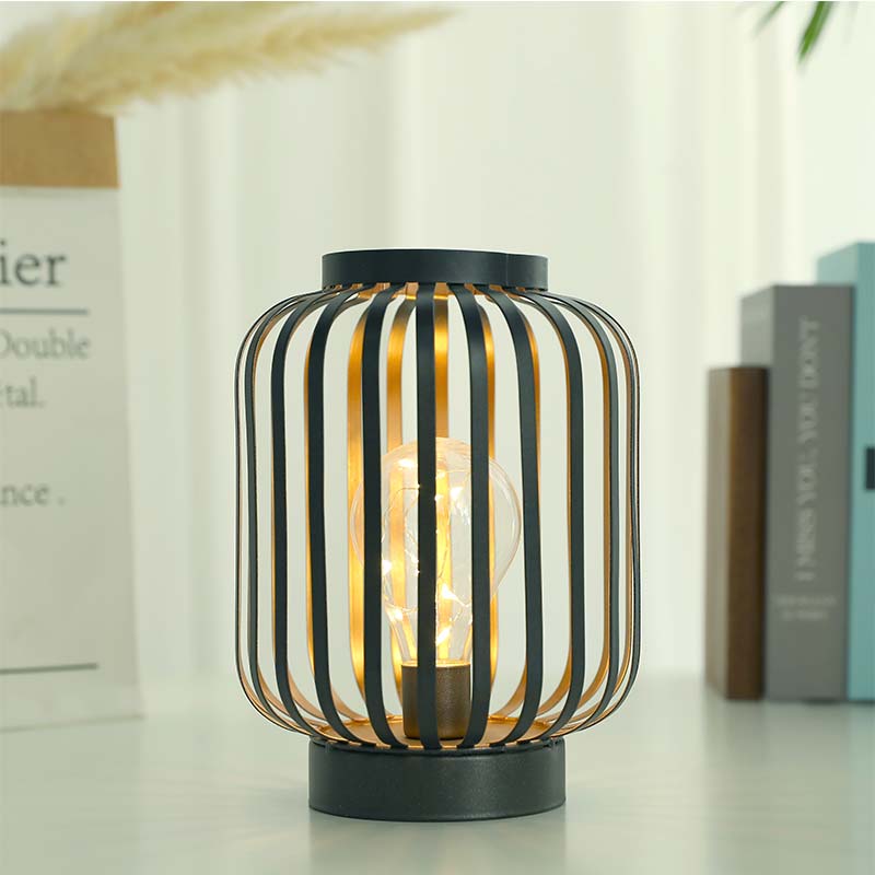 JHY DESIGN 8.7''High Metal Cage Decorative Lamp Battery Powered Cordless  Warm White Light with LED E…See more JHY DESIGN 8.7''High Metal Cage